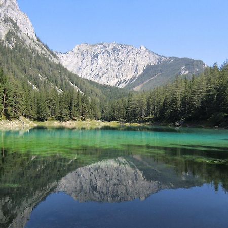 Herzogberghof Kindberg Exteriér fotografie